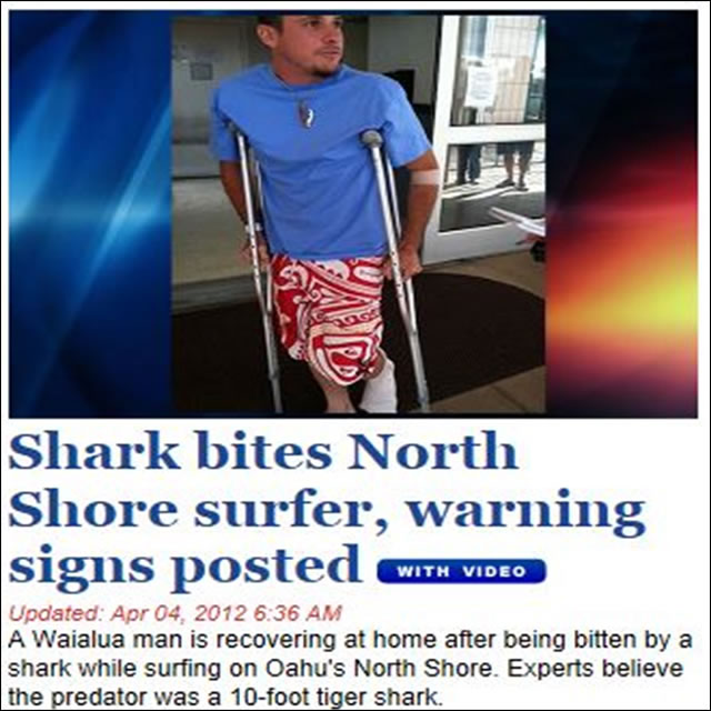 surfer attacked by shark