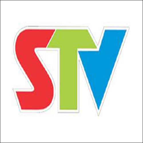 stvees logo