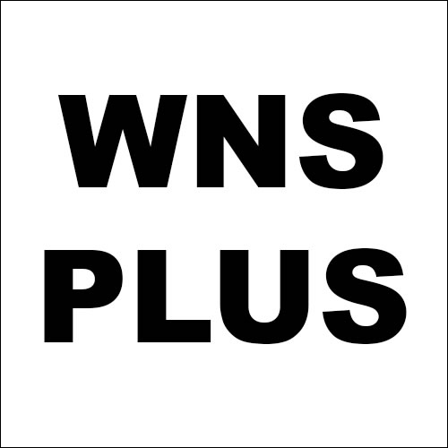 wns plus logo